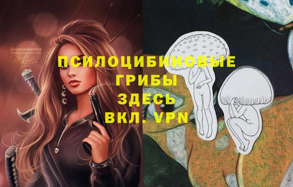 гидра Новокубанск