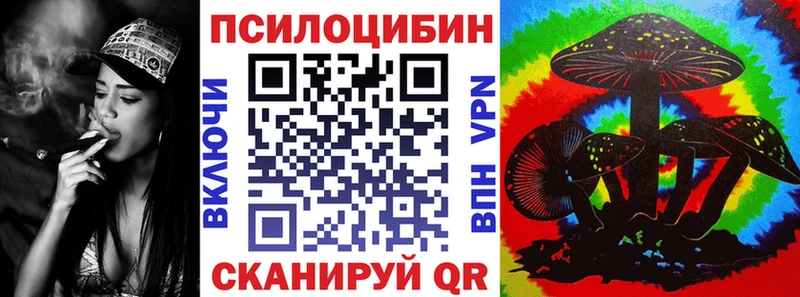 Псилоцибиновые грибы Psilocybe  хочу   Старая Русса 